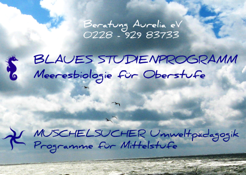 Blaue Studienprogramme & MUSCHELSUCHER-Programme