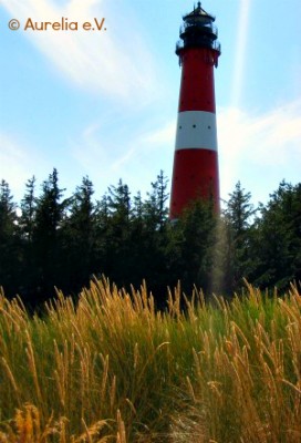 Leutturm im Ökosystem Nordsee Wattenmeer auf der Insel Sylt
