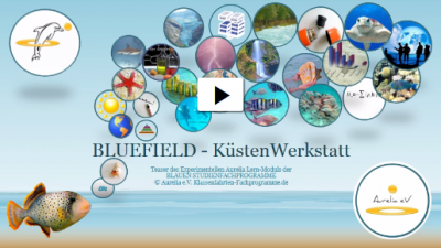 Teaser des Experimentellen Aurelia Lern-Modul BLUEFIELD - Küstenwerkstatt