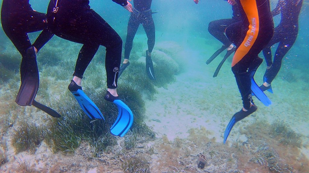 Schnorchel vor Sardinien - Klassenfahrt Meeresbiologe