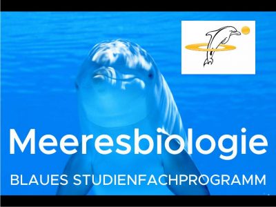 BLAUES STUDIENFACHPROGRAMM