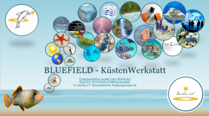 bluefield-kuestenwerkstatt-klassenfahrten-programm-naturwissenschaften